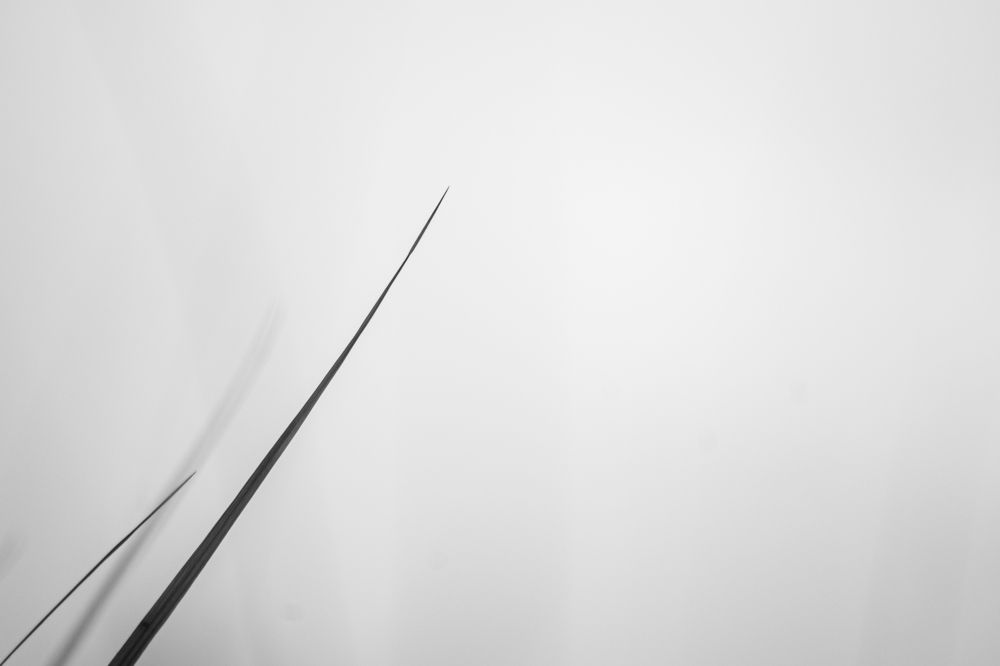 Photograph by Дмитрий Бутин