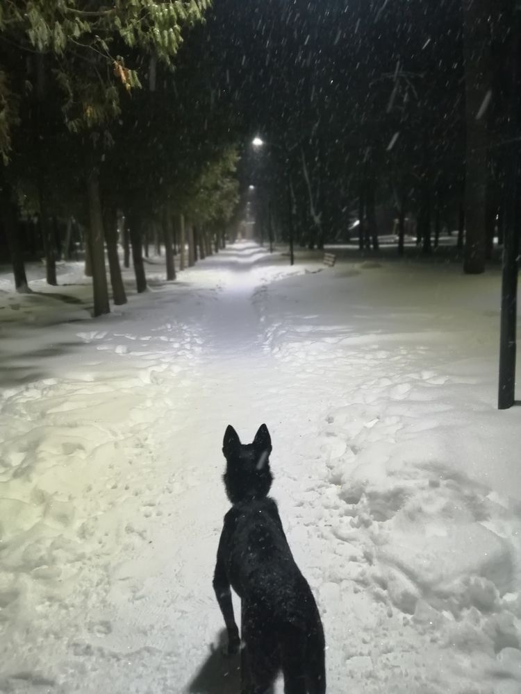 Photograph by Шафиева Ирина Алексеевна