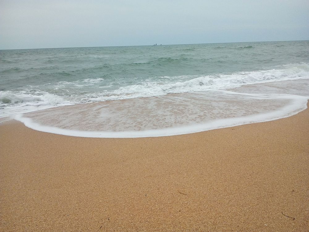 Photograph by Светлана