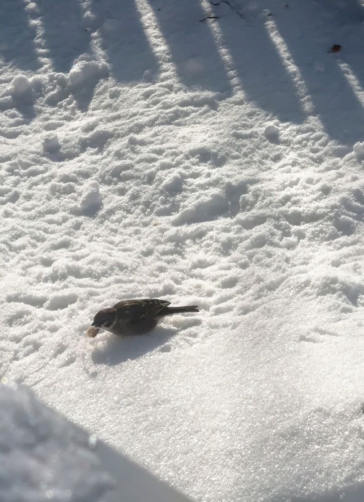 Photograph by Екатерина