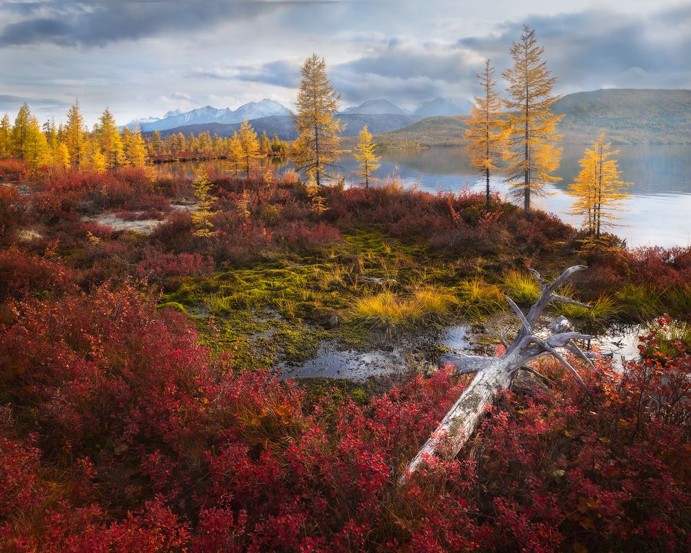 Осенняя палитра Колымы