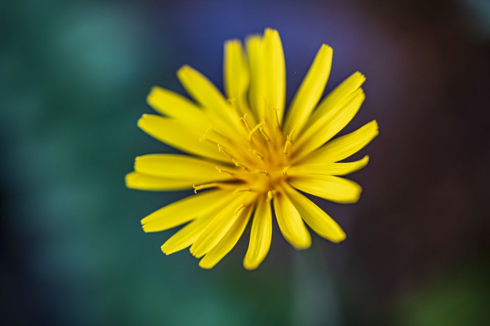 Photograph by Ksenija Planinc Kiridžiev