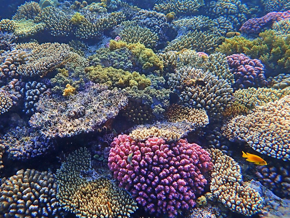 Photograph by Александр Баран