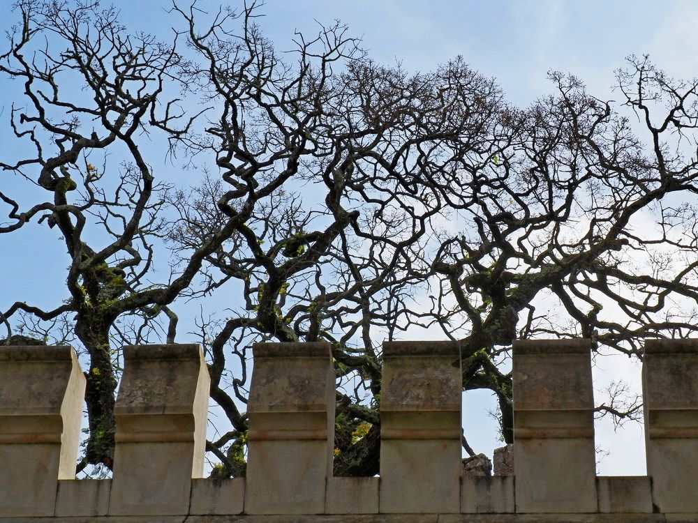 Photograph by Александр Баран