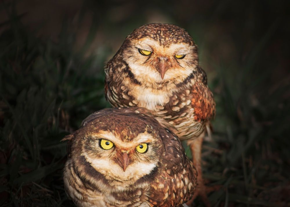 Photograph by Everson Carvalho