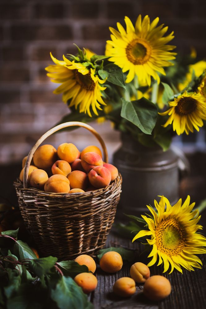 Photograph by Zdeněk Dvořák