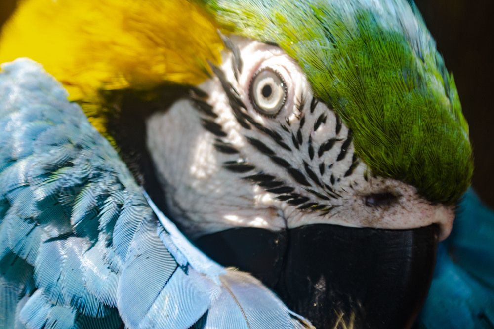 Фотография автора Yako Laverde