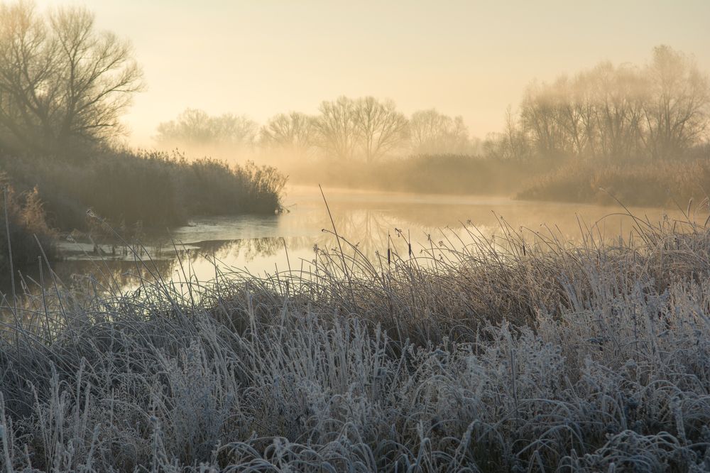 Photograph by Дмитрий Сумин