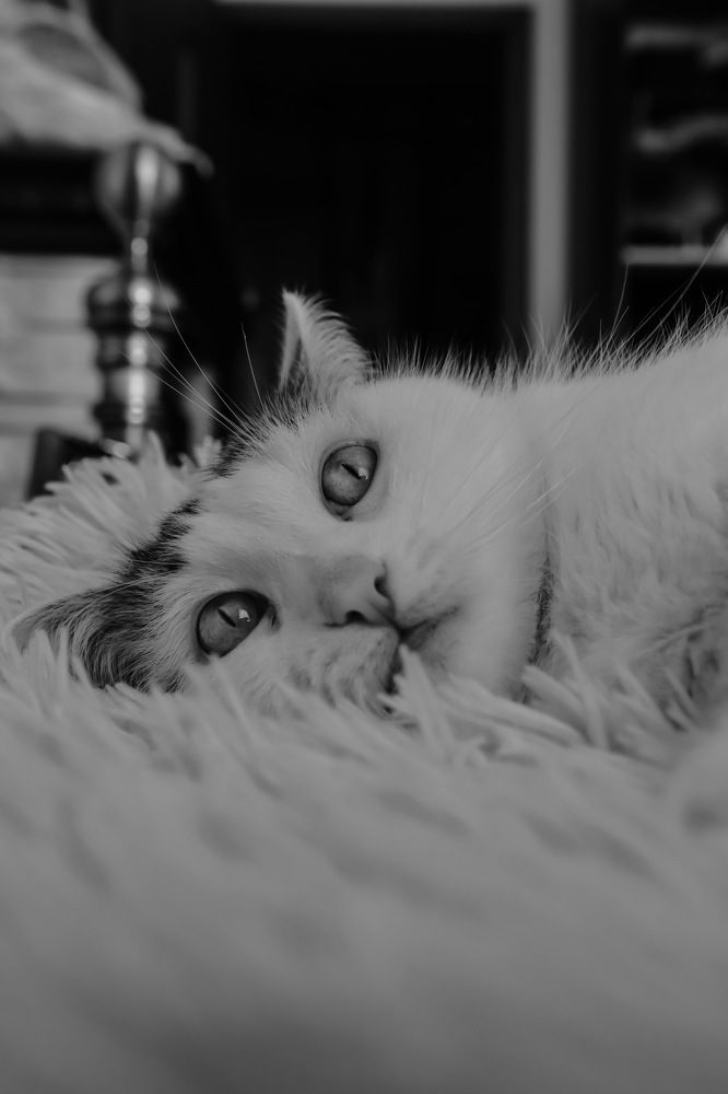 Photograph by Марина Моисеева