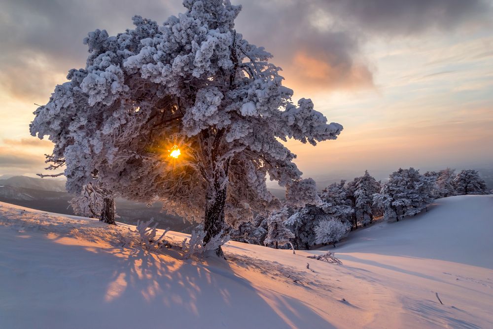 Photograph by Полякова Александра