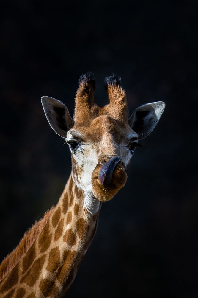 Photograph by Дмитрий Николаев