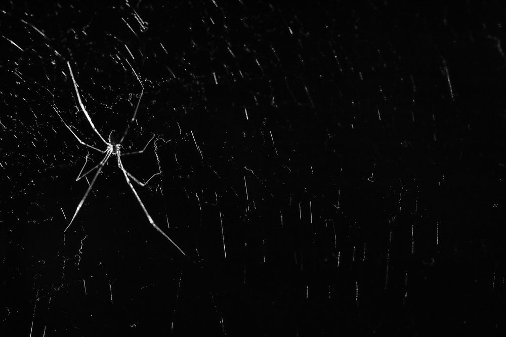 Photograph by Bhanu Kiran Botta