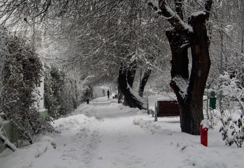 Photograph by cengiz pamuk