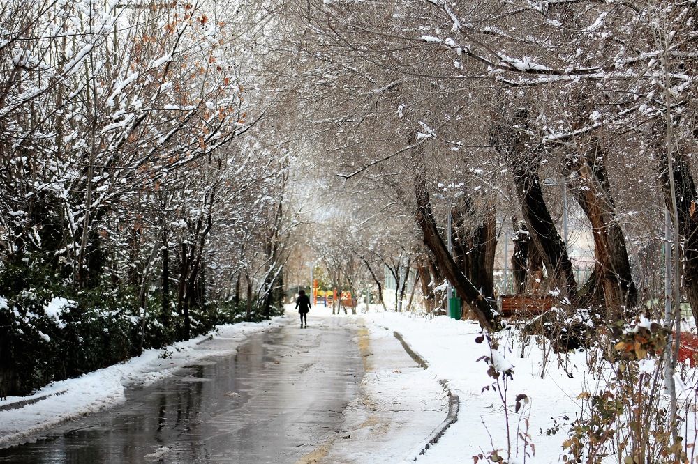 Photograph by cengiz pamuk