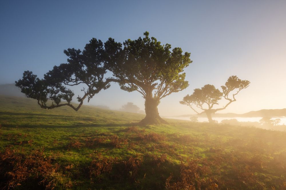 Photograph by Виталис Василюс