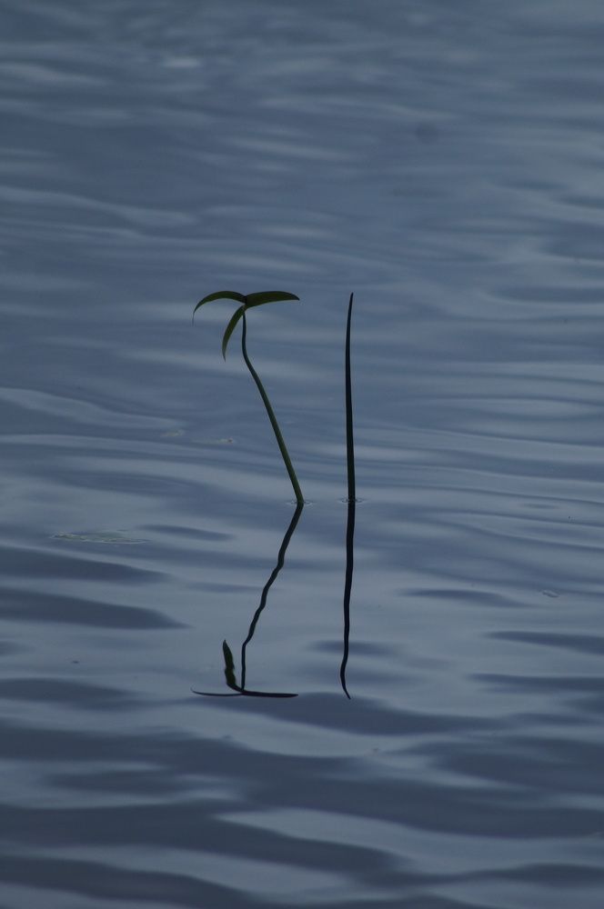 Photograph by Федор Лазарев