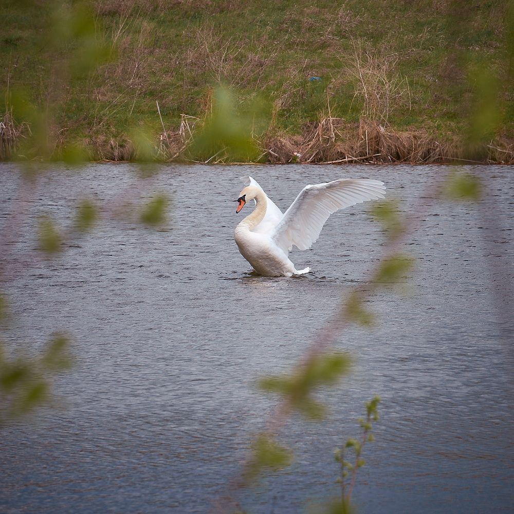 Photograph by Олег Архипов