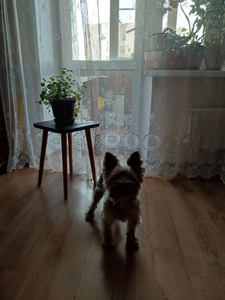 Фотография автора Анастасия