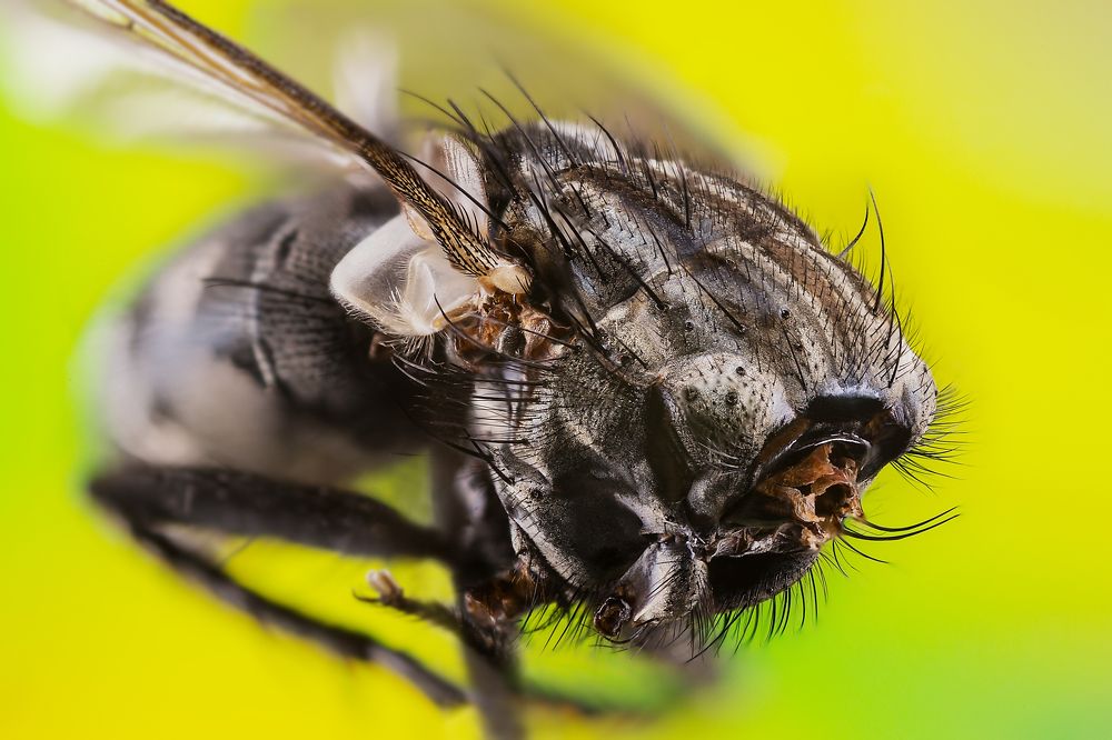 Photograph by Алексей Чечель