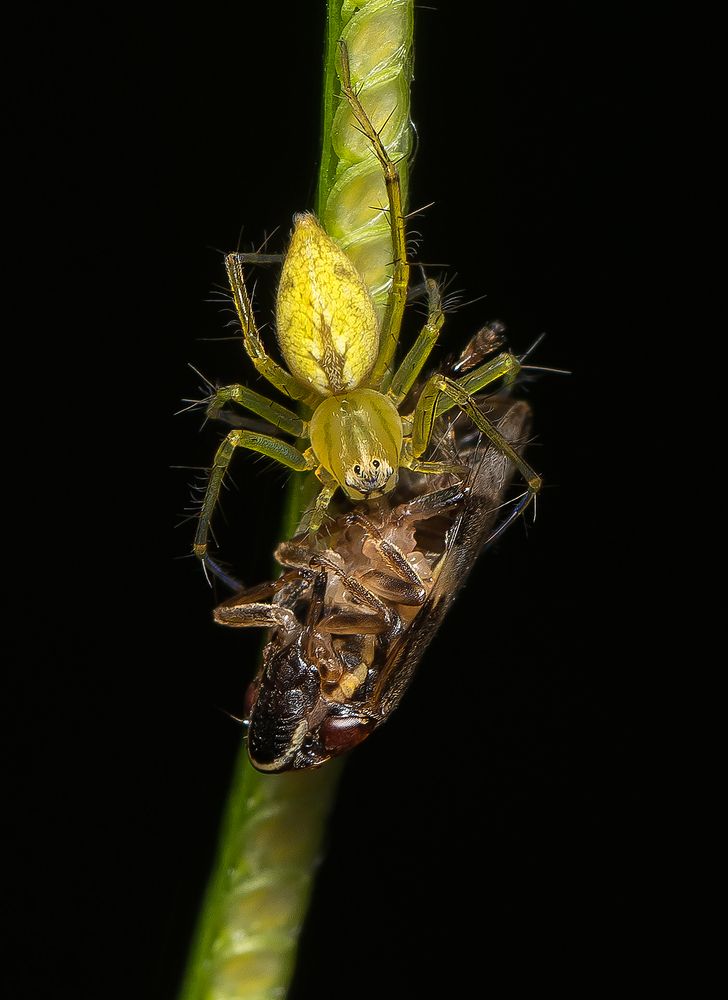 Photograph by Bibhas Deb