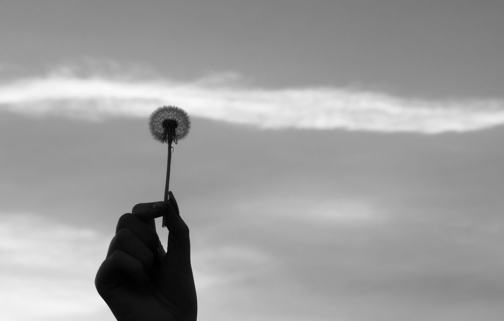 Photograph by Парфентьев Антон