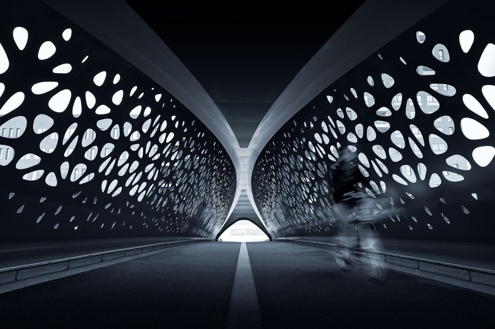 Photograph by ONSY WAEL