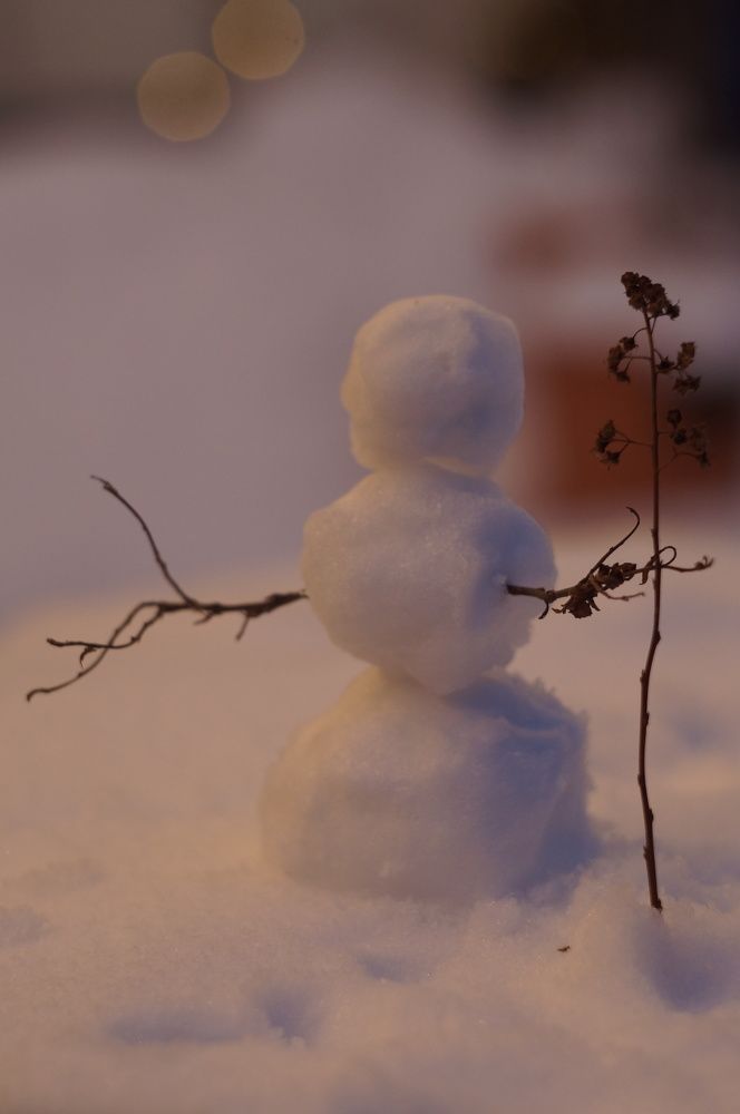 Photograph by Федор Лазарев