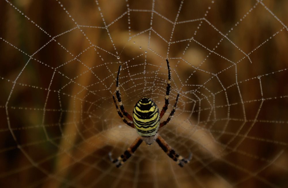 Photograph by Алексейчик Дмитрий