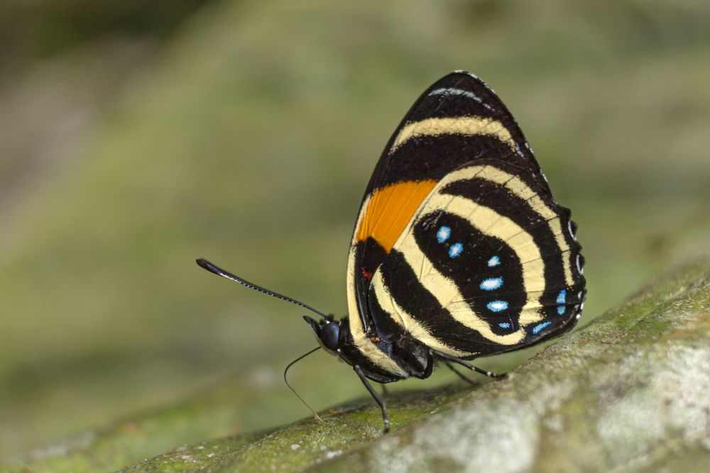 Photograph by Maria de los Angeles Osorio