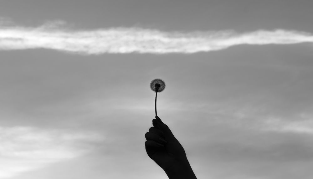 Photograph by Парфентьев Антон