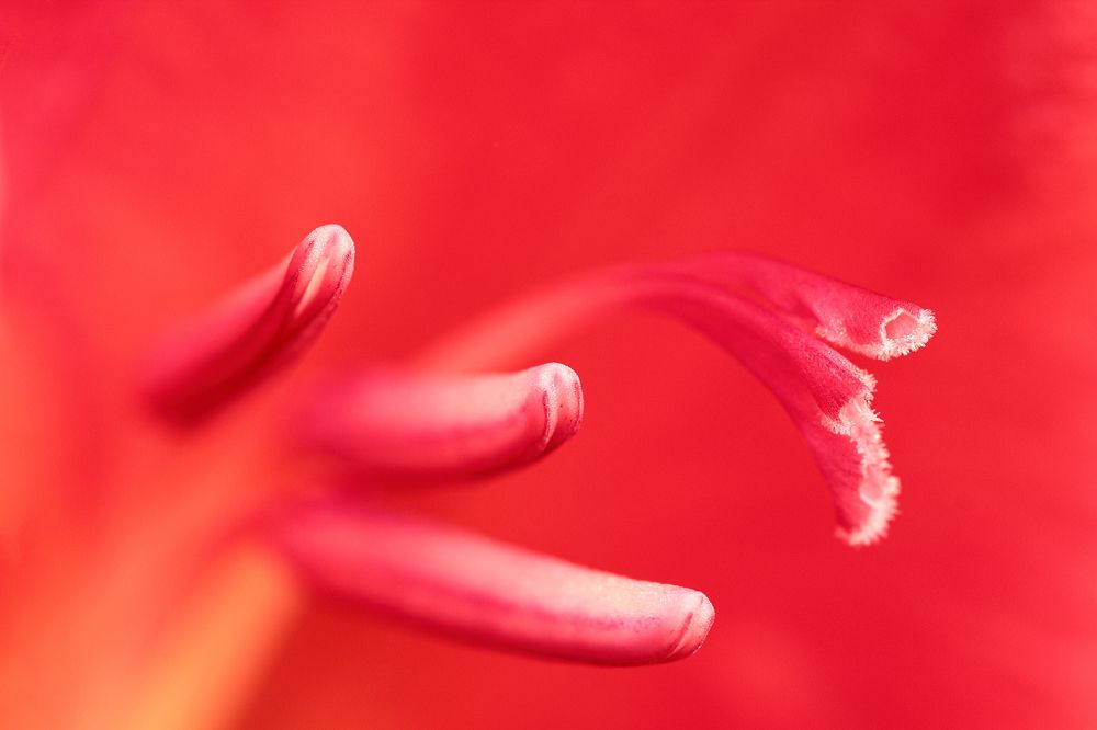 Photograph by Анастасия Калинцева