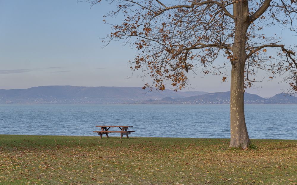 Photograph by Светлана Мельник