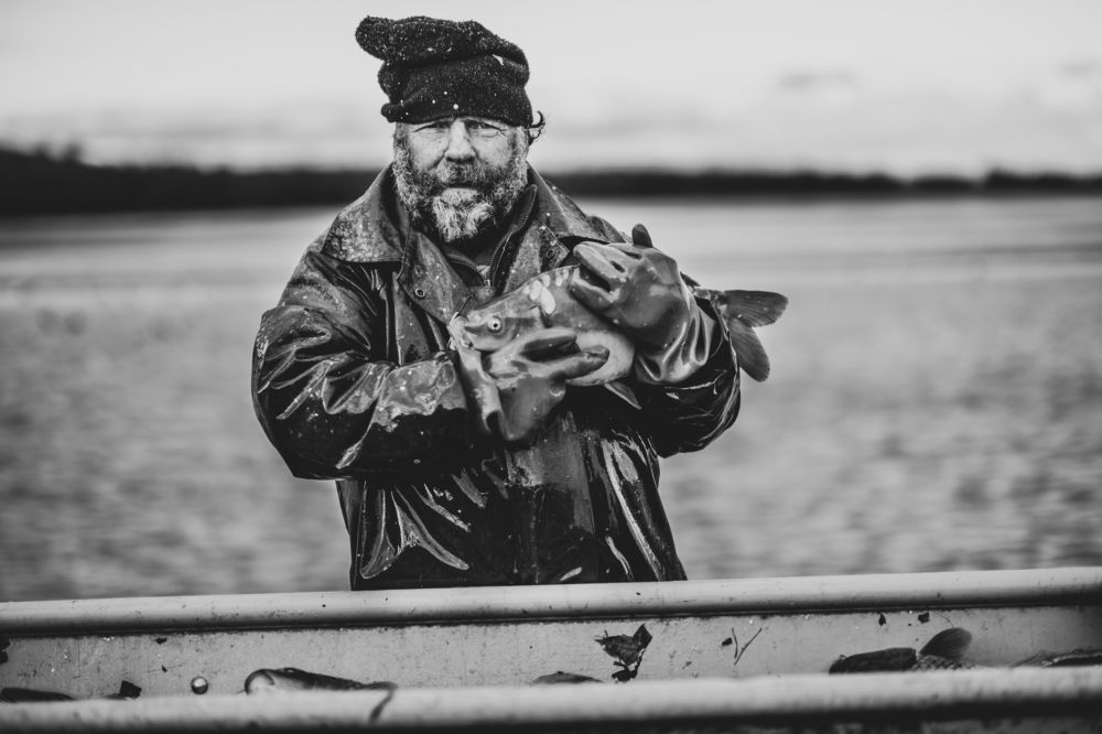 Jaroslavický výlov