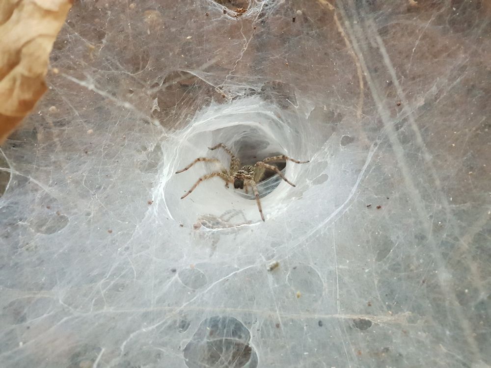 Фотография автора Vikram Trivedi