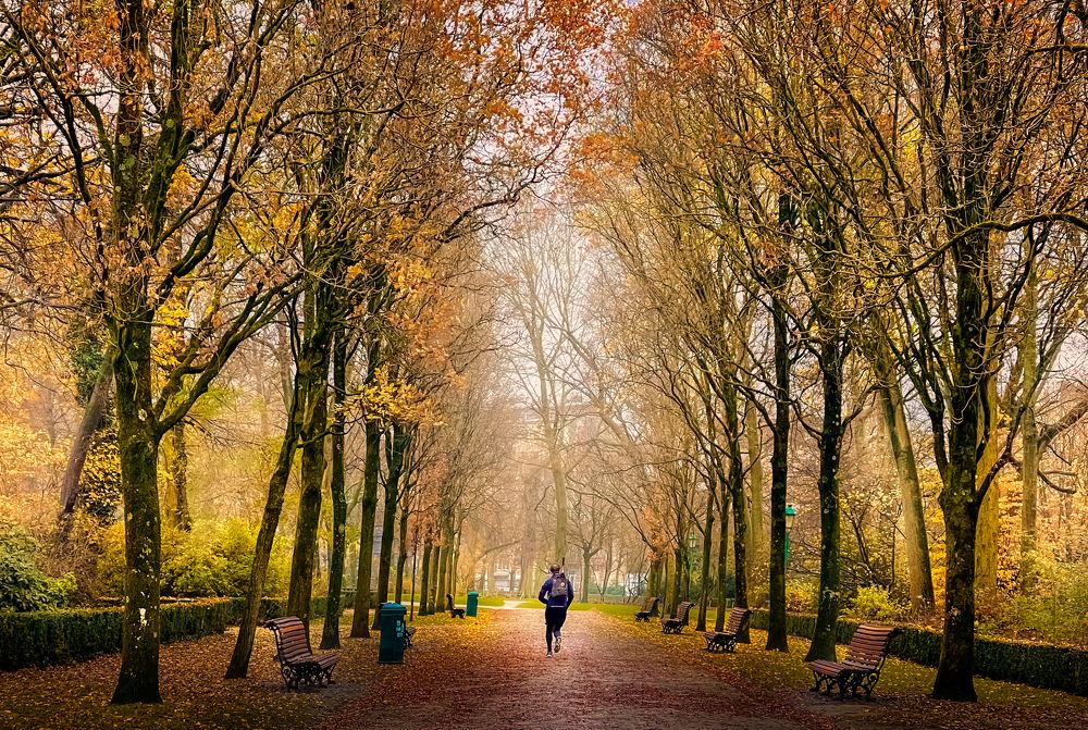 Photograph by ONSY WAEL