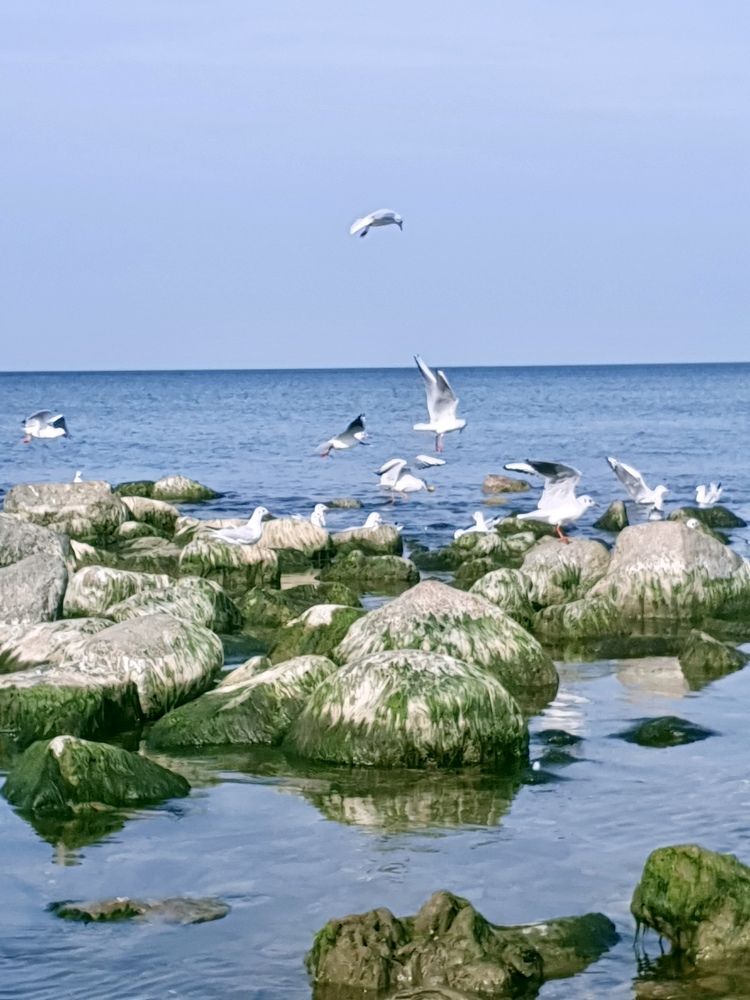 Photograph by Elena Ibragimova