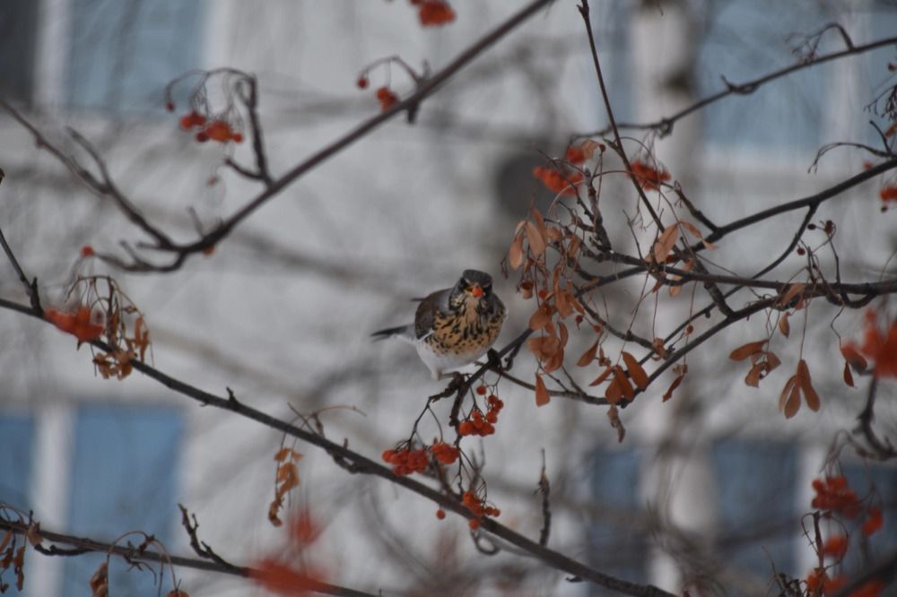 Photograph by Elvira