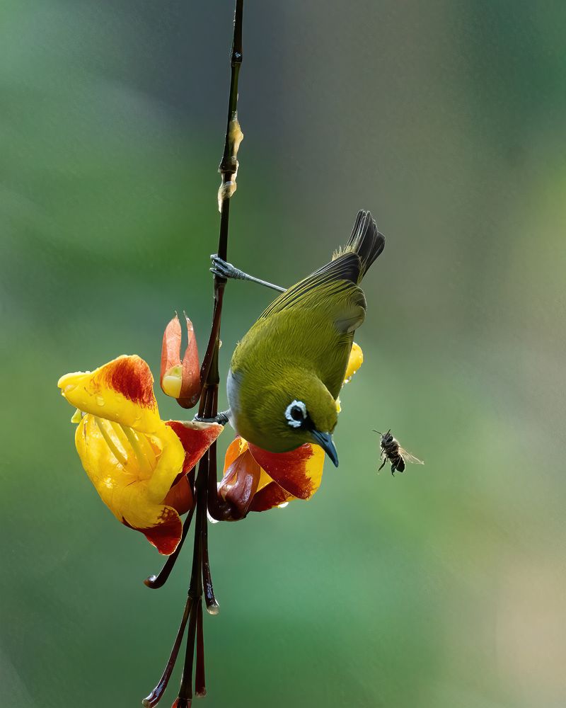 Фотография автора M Anandhu