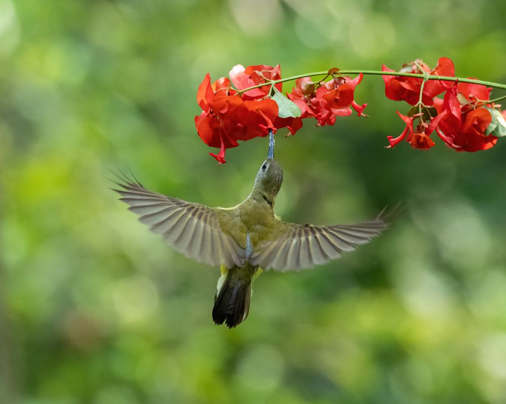 Фотография автора M Anandhu