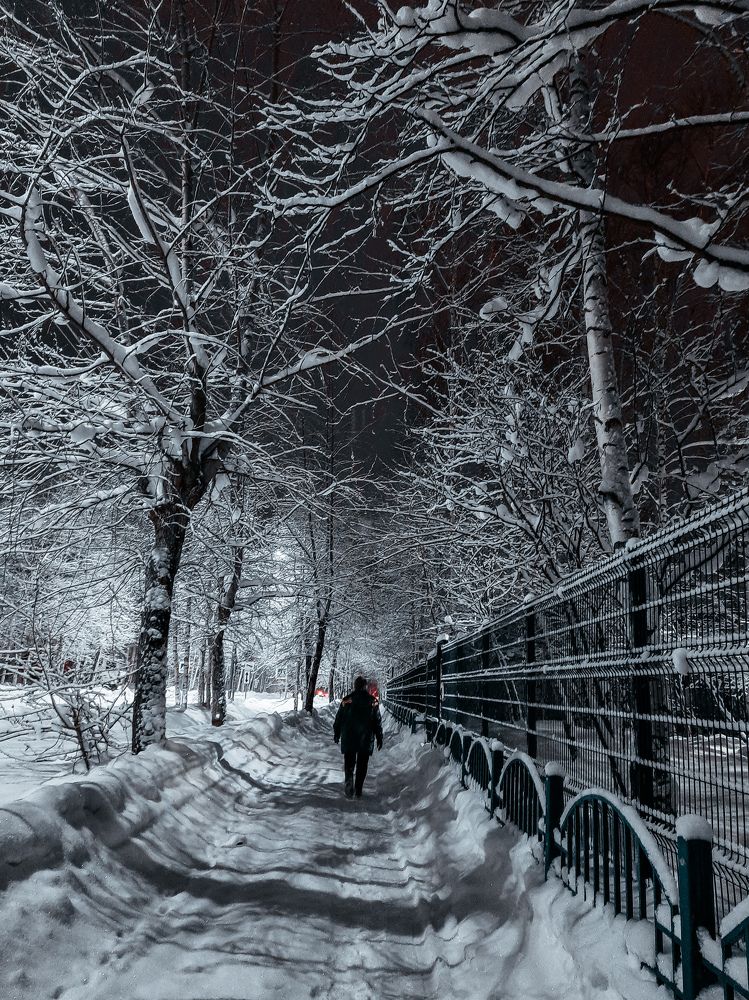 Photograph by Розита Гильманова