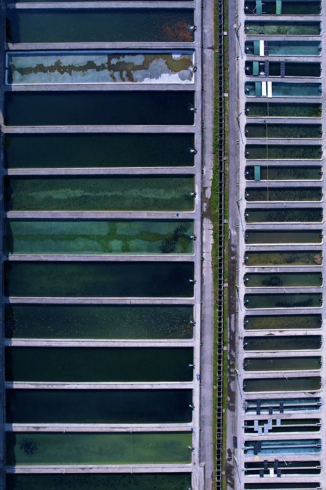 Photograph by Анна Халкониди