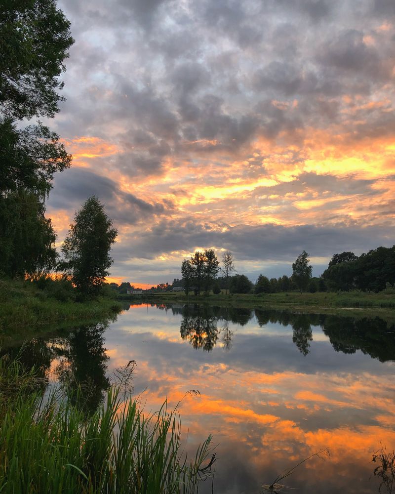 Photograph by Лариса