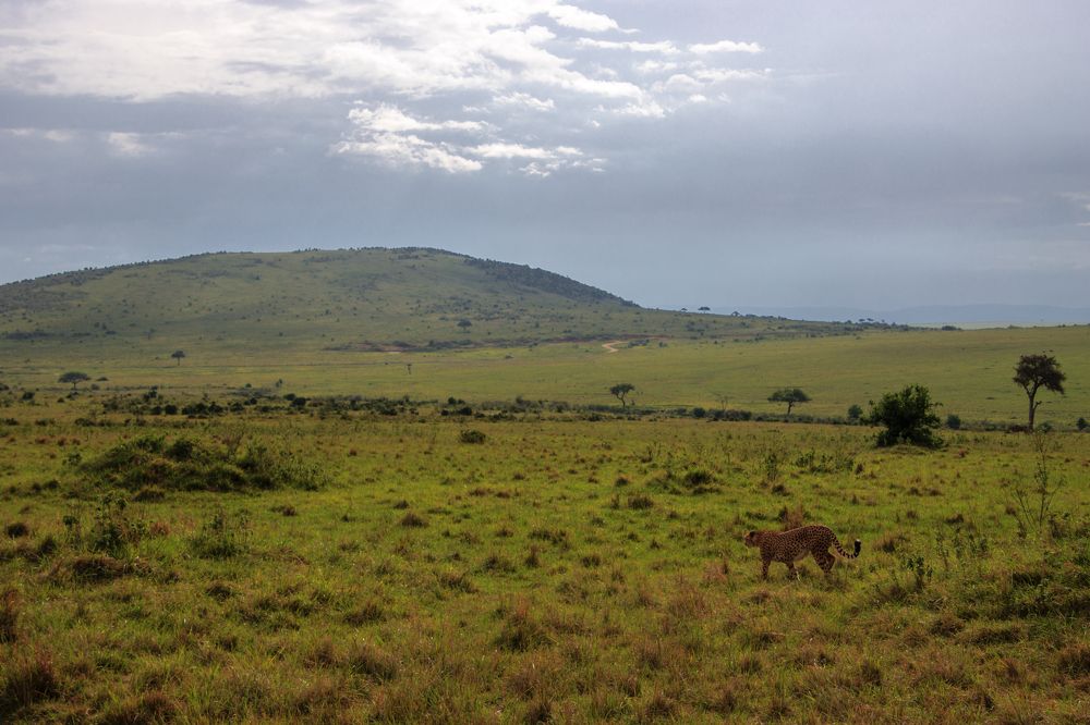 Photograph by Epp Tappel