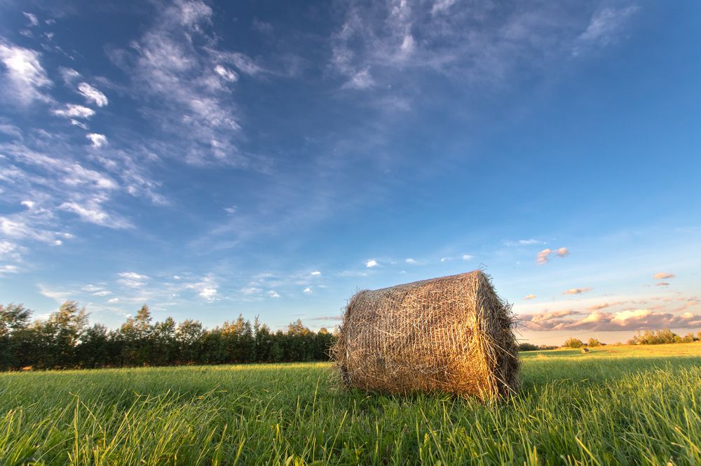 Photograph by Александр Кузнецов