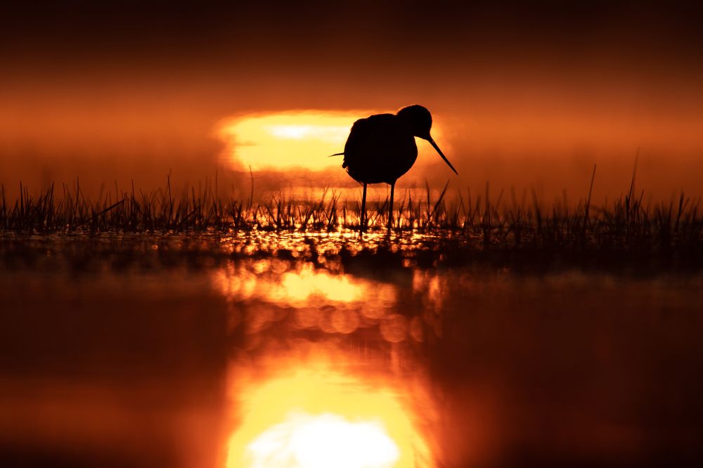 Photograph by Цветков Сергей