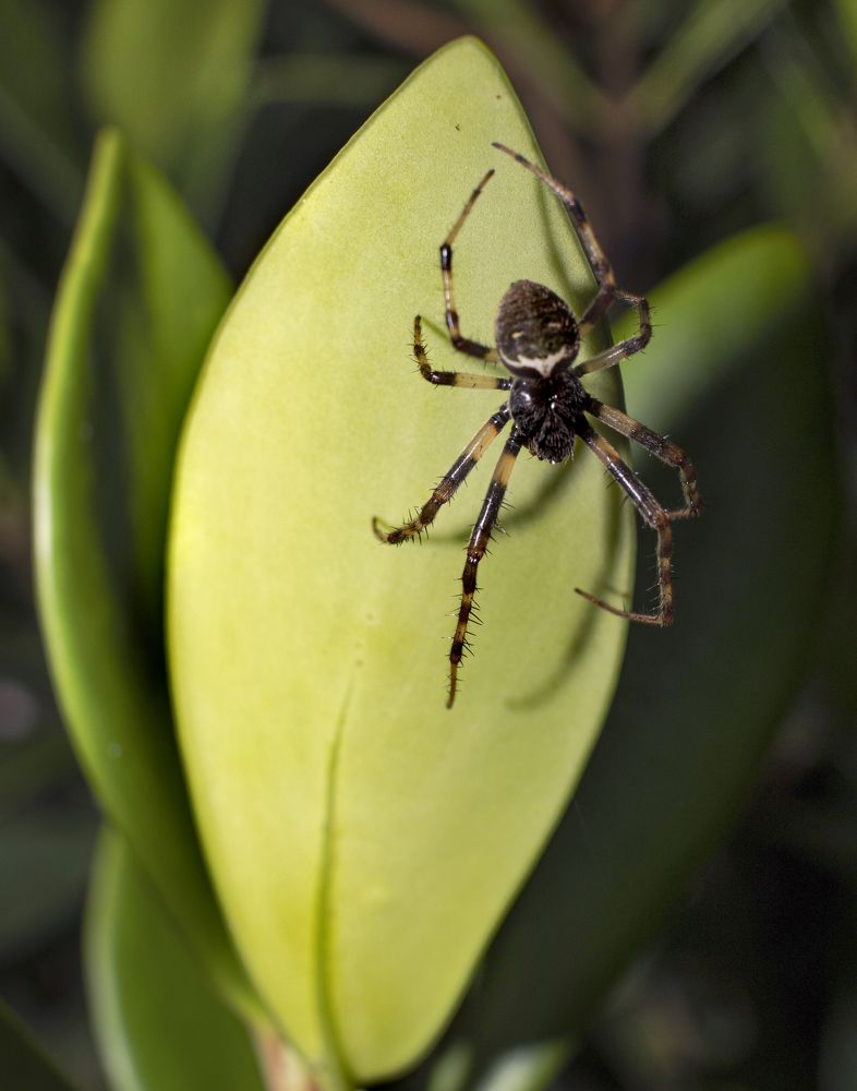 Photograph by Maria de los Angeles Osorio