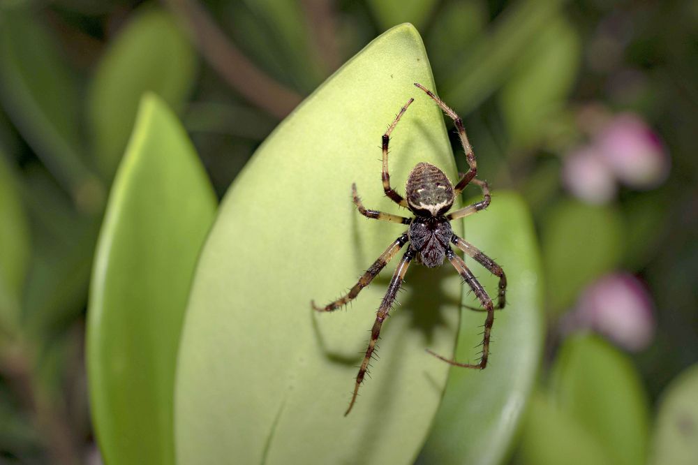 Photograph by Maria de los Angeles Osorio