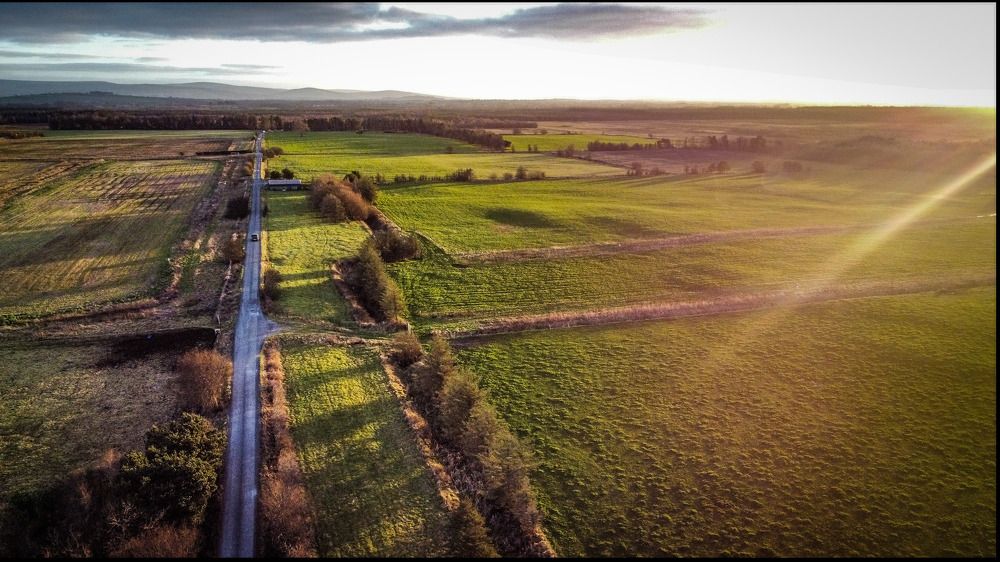 Photograph by Przemysław Skura