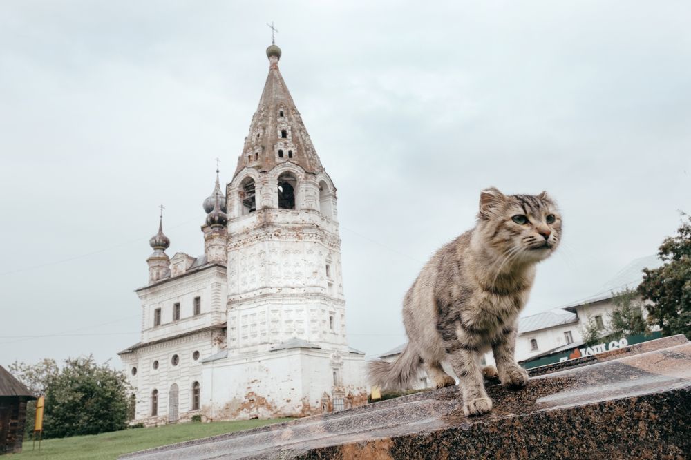 Photograph by Alex Belov