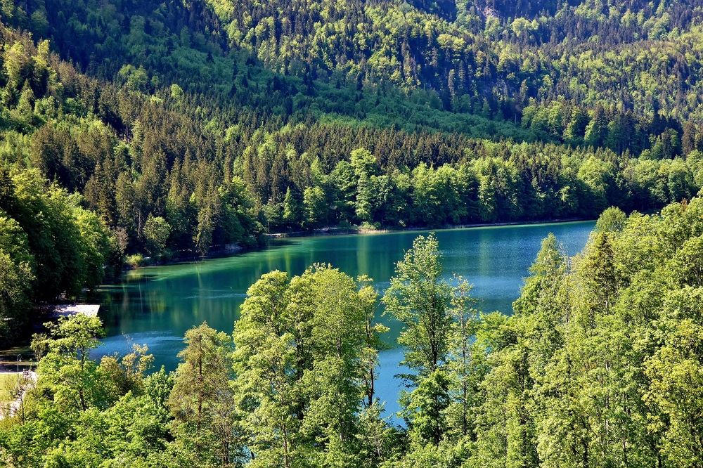 Photograph by backareva irina